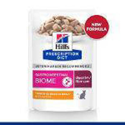 Picture of Hills Feline Gastro Int Biome Chk Pch 85g