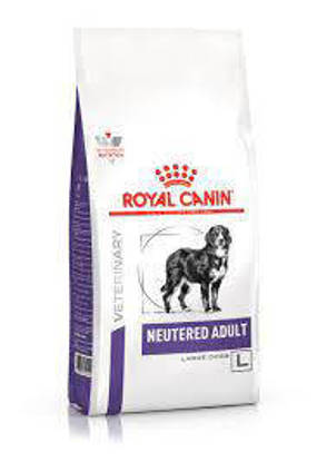 Picture of Royal Canin RCVHN Adult Neutered (Large dogs) Adult Dry Dog Food  -  12kg